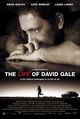 大卫·戈尔的一生 The Life of David Gale[电影解说]封面图