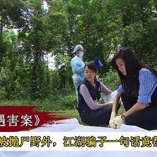 五岁男孩被抛尸野外，不料江湖骗子一句话，竟帮警方破案，悬疑片