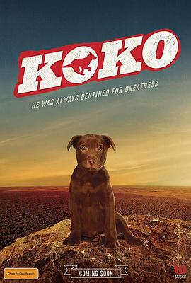 Koko：红犬历险记封面图