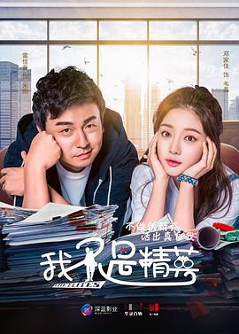 我不是精英（DVD版）封面图