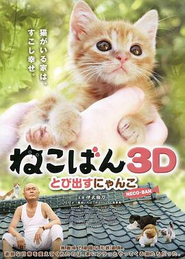 小猫跳出来3D封面图