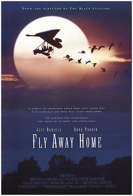 伴你高飞 Fly Away Home[电影解说]封面图